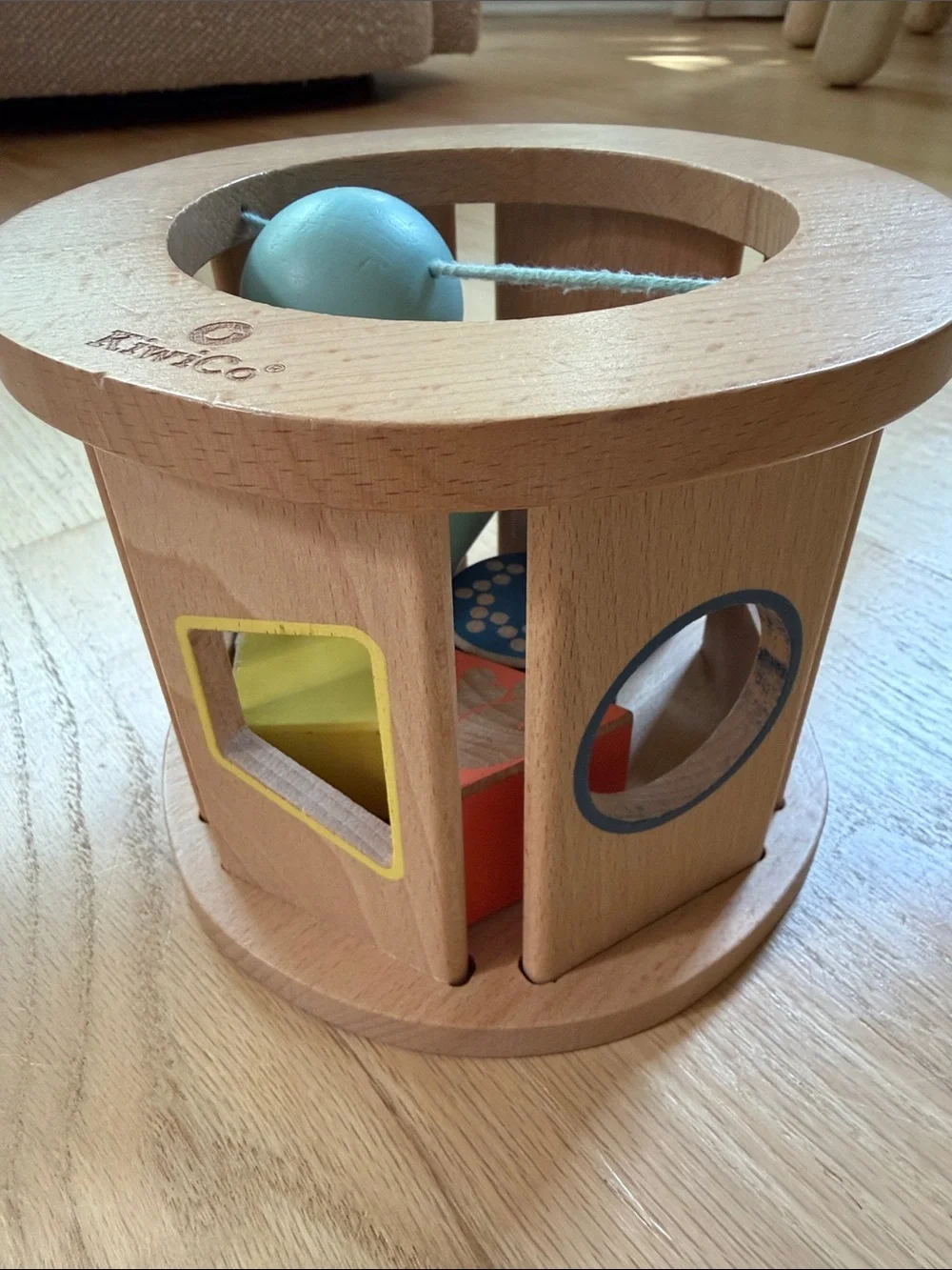 KiwiCo Biology Blocks Shape Sorter